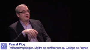 Rencontre avec Pascal Picq, paléoanthropologue